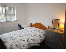 Room to rent Spring Vale