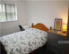 1 bedroom house share to rent Spring Vale